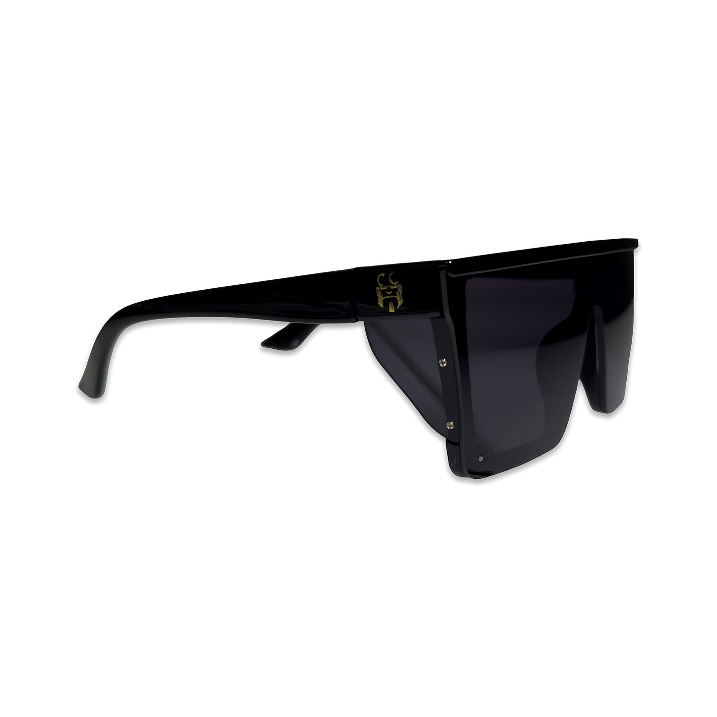 Polarized Sunglasses - Smoke Black