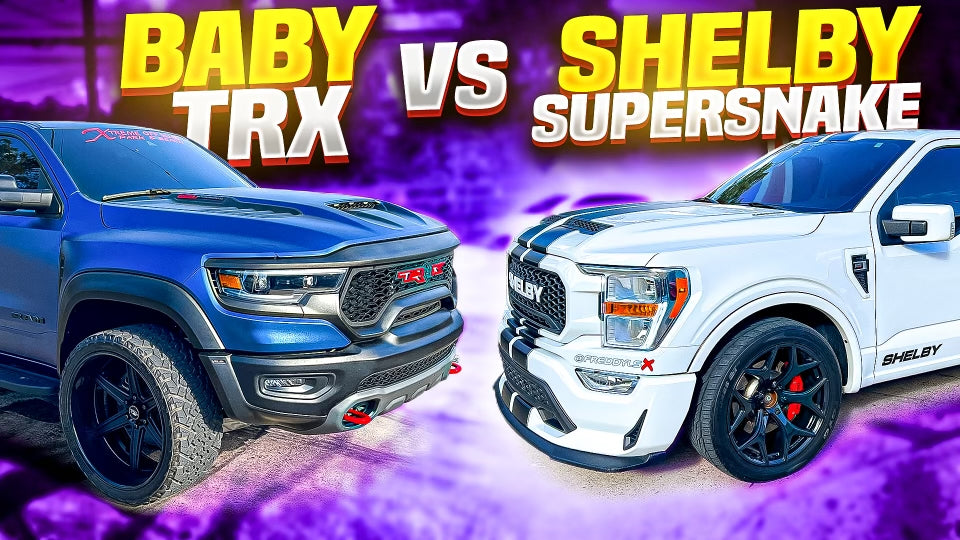 Baby TRX VS SHELBY Supersnake